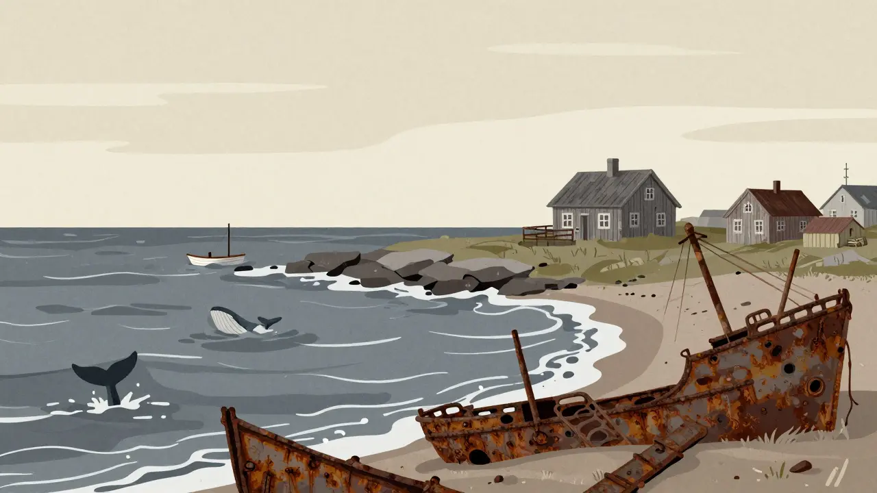 Побережье Териберки с заброшенными кораблями и хвостом кита в море